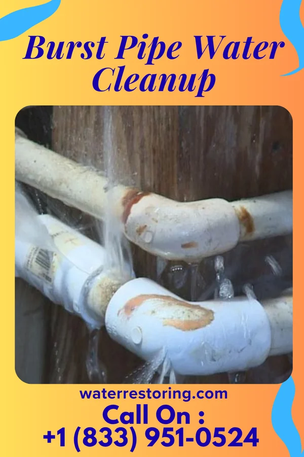 Burst Pipe Water Cleanup in Ironville, KY