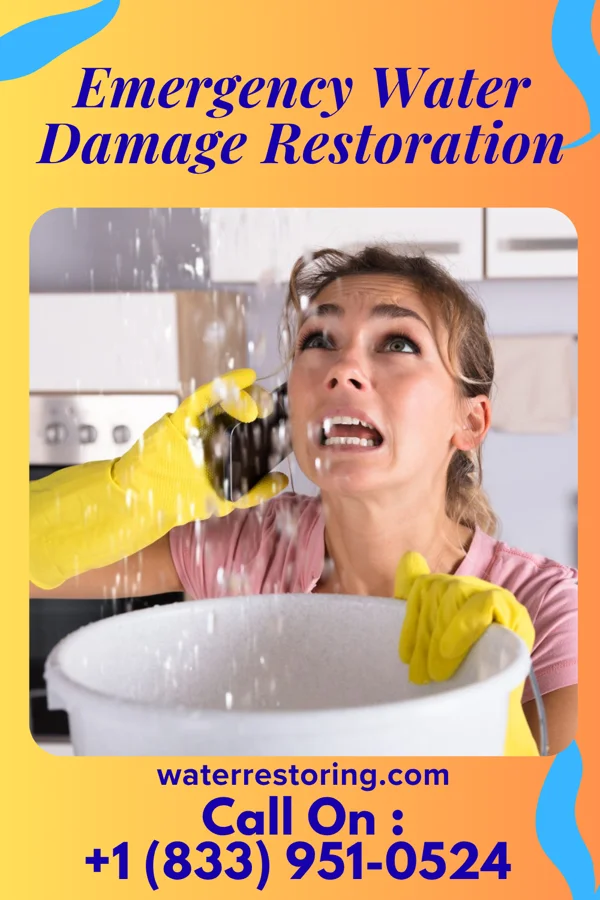 Emergency Water Damage Restoration in Ironville, KY