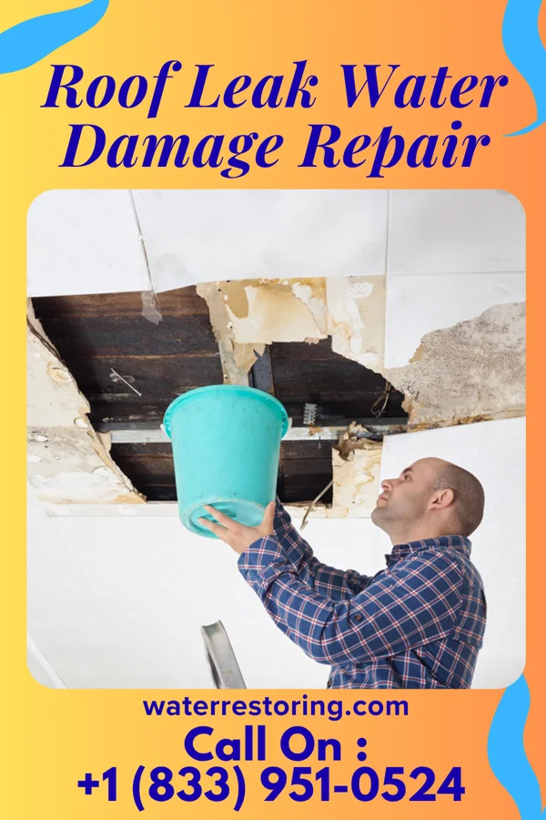 Roof Leak Water Damage Repair in Ironville, KY