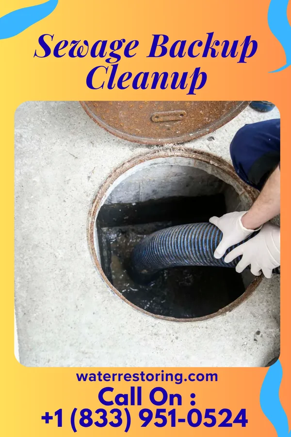 Sewage Backup Cleanup in Ironville, KY