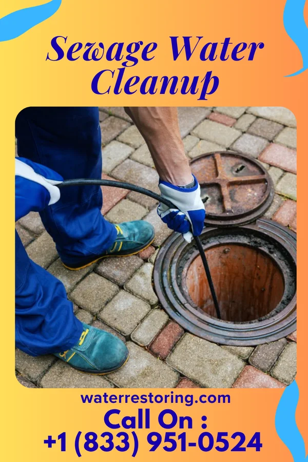 Sewage Water Cleanup in Ironville, KY
